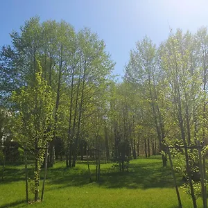  Kwatera prywatna 3 Pokojowy Lub W Mieszkaniu W Nowym Bloku Polska
